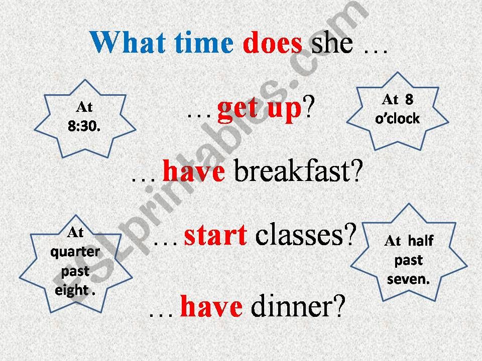 daily routine Questions powerpoint
