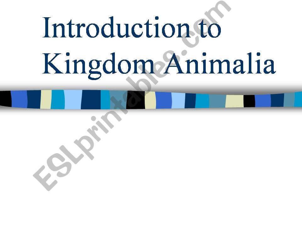 Animal Kingdom powerpoint