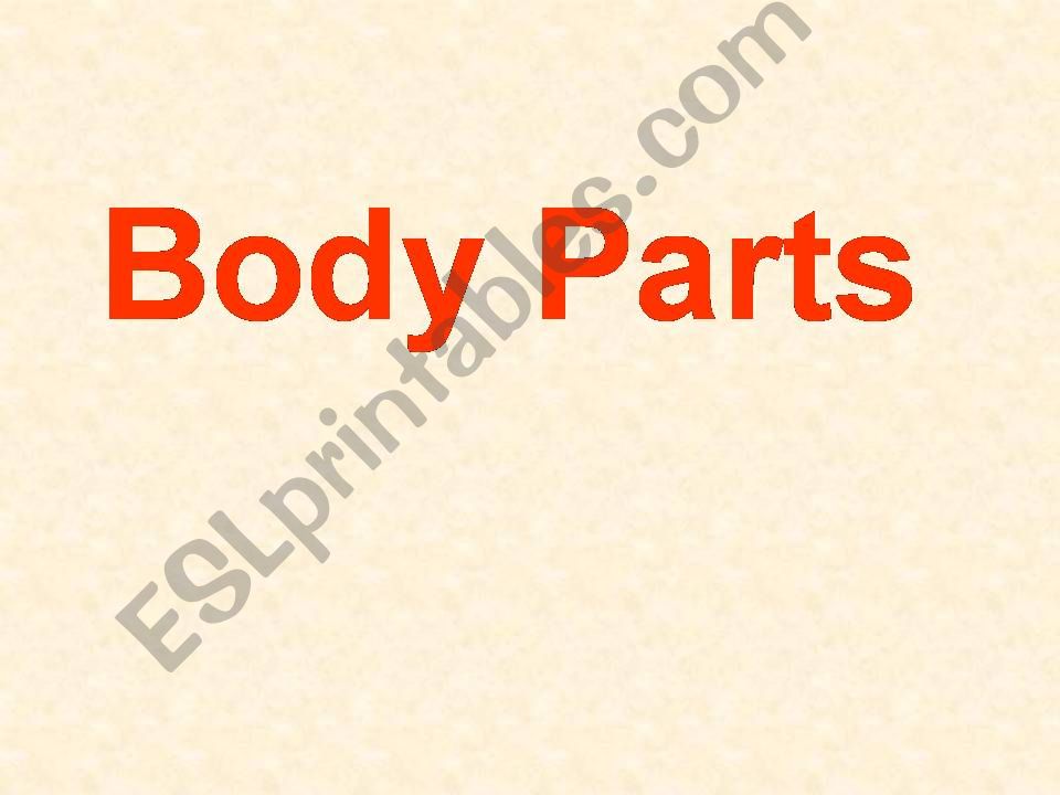 Body Parts powerpoint