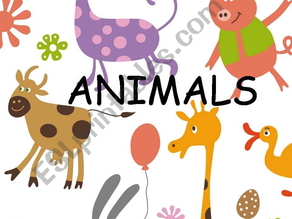 animals powerpoint