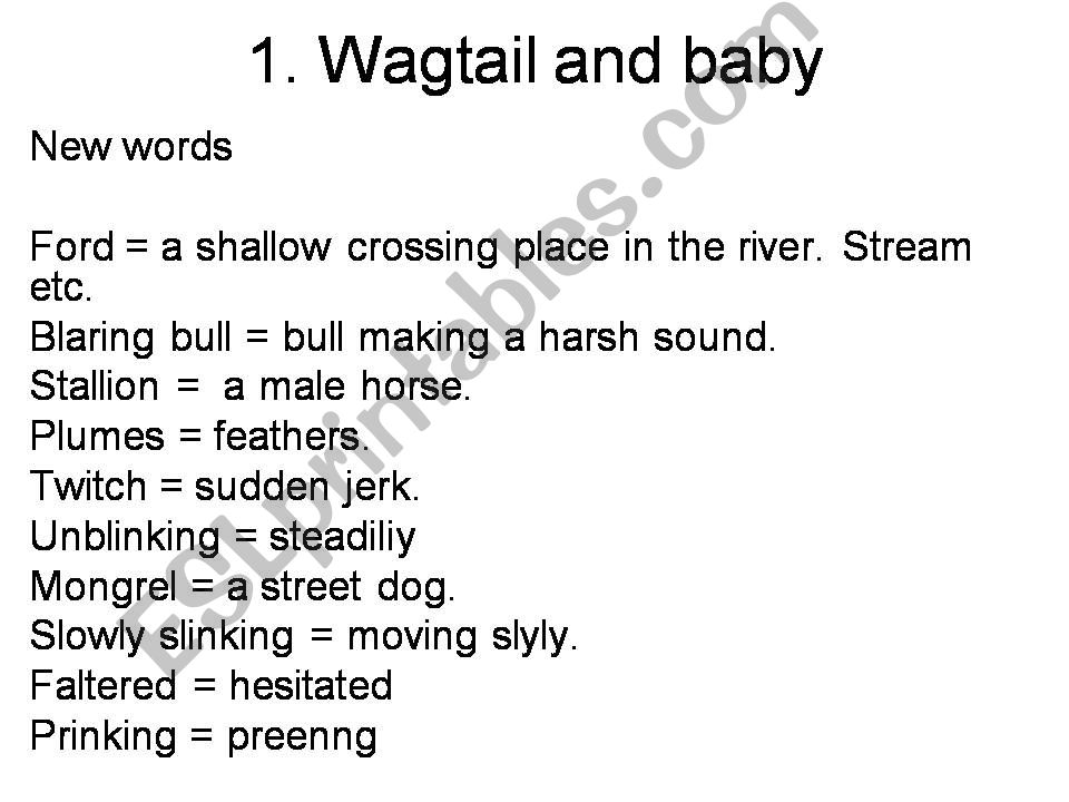 New words powerpoint