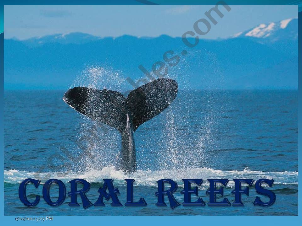 coral reef powerpoint