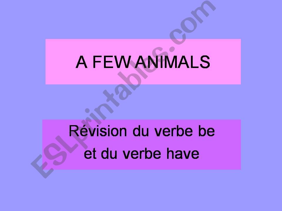 animals powerpoint