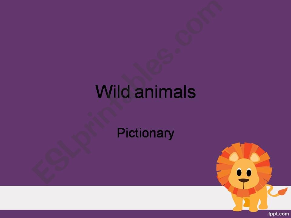 Wild animals pictionary powerpoint