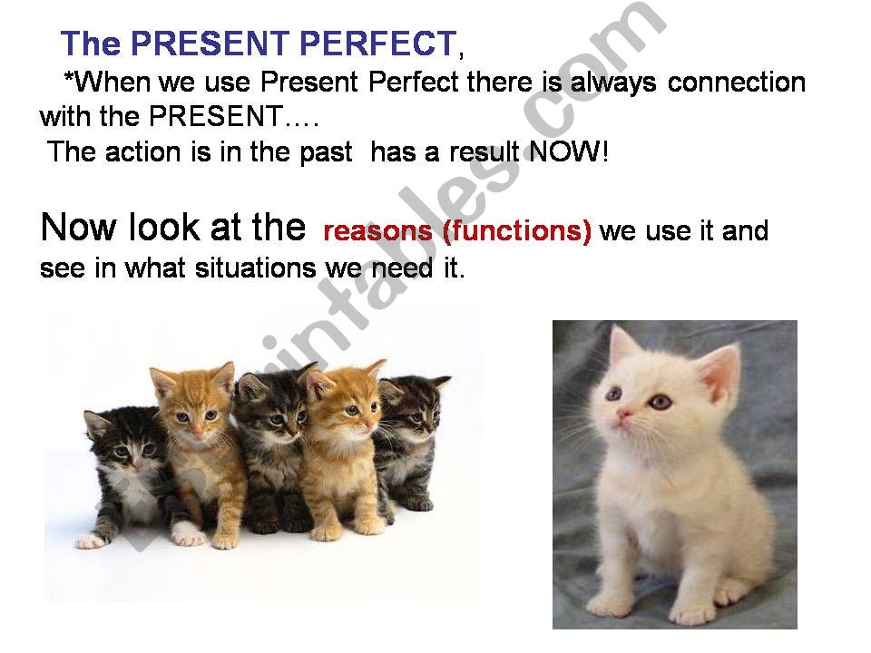 present perfect tense powerpoint