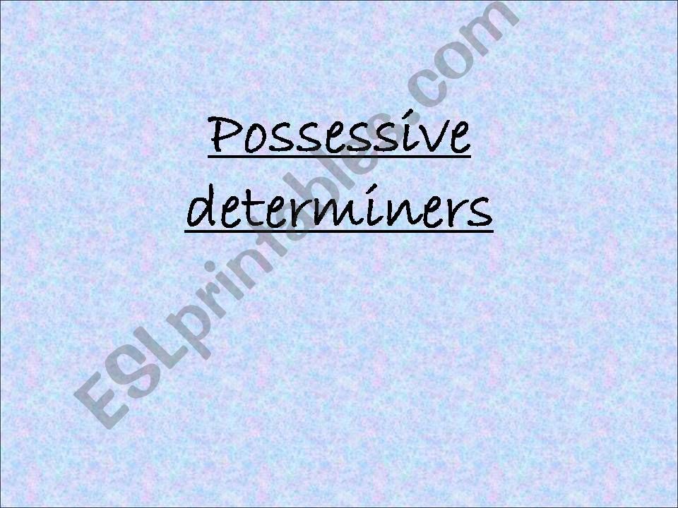 Possessive determiners powerpoint