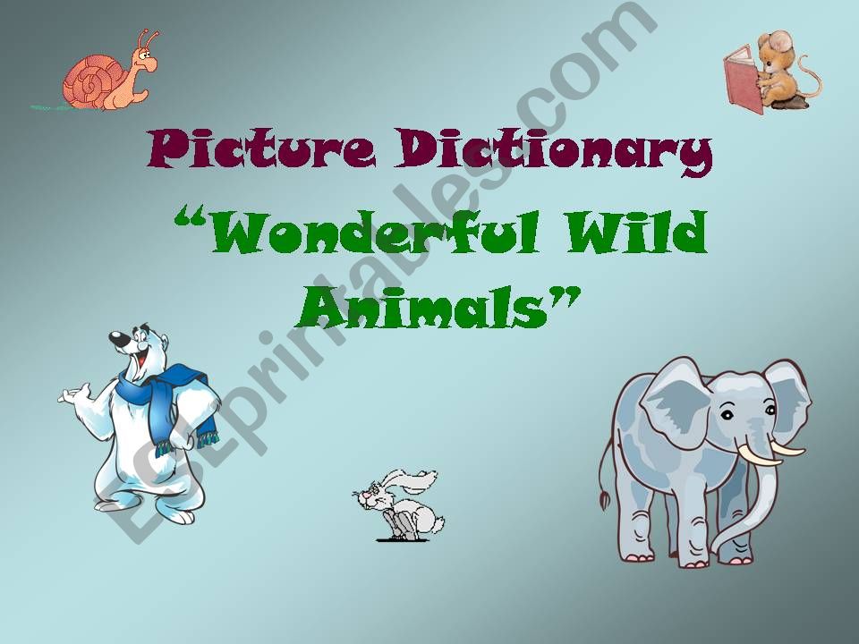 Wonderful Wild Animals -Part 1