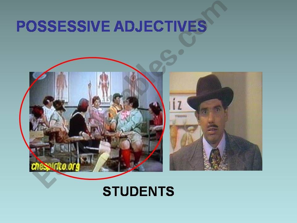Possessive adjectives powerpoint