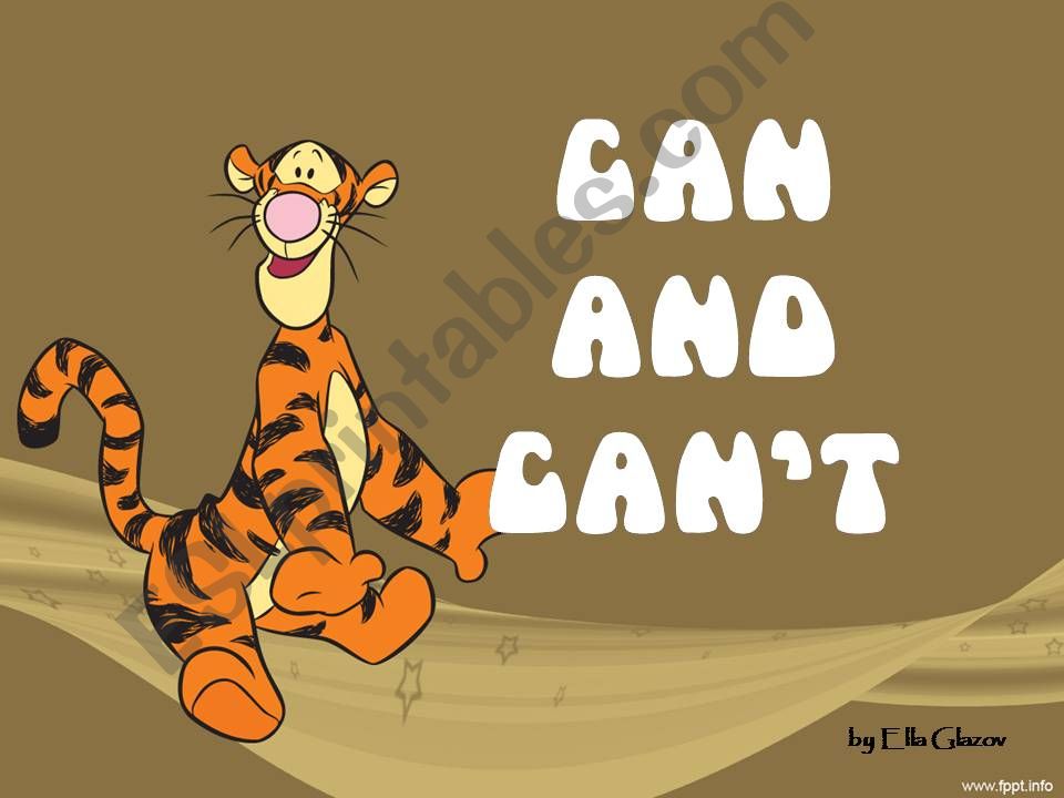 can and can´t powerpoint
