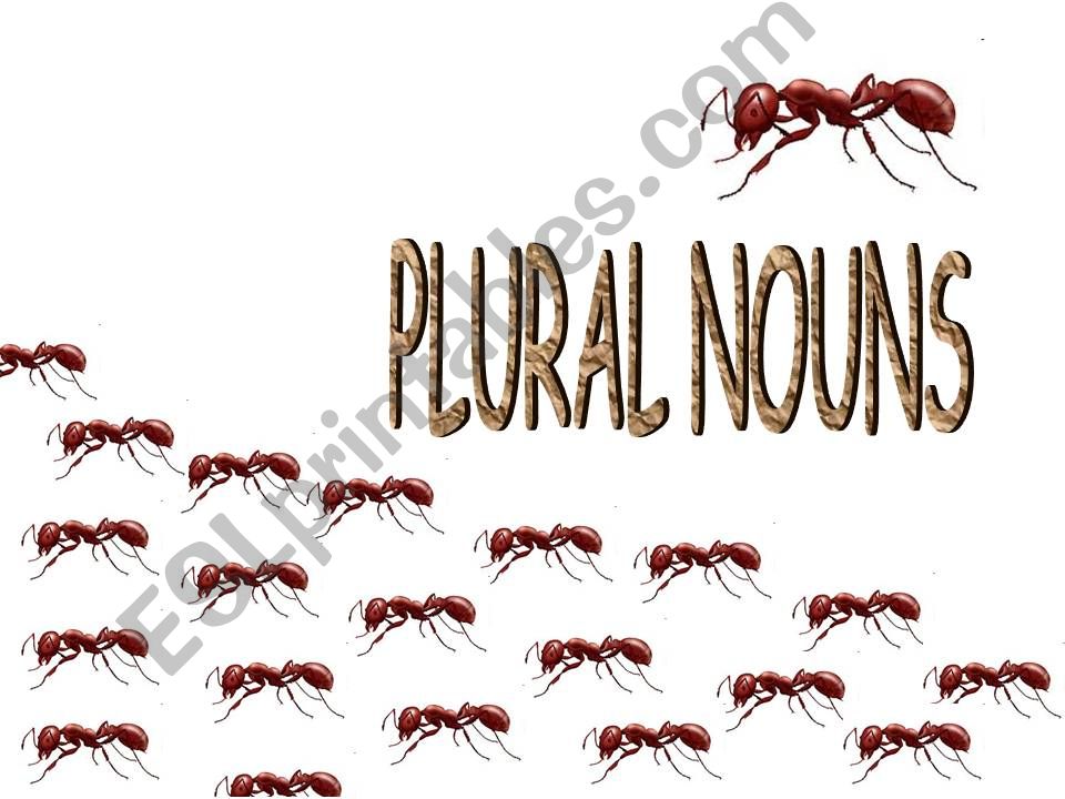 Plural of Nouns (Animals and Flowers)