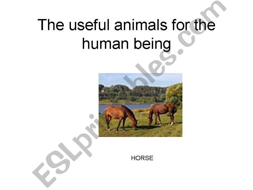 THE USEFUL ANIMALS FOR THE HUMAN BEING