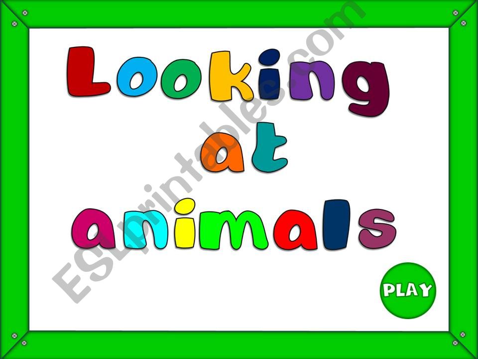 Looking at animals - game powerpoint