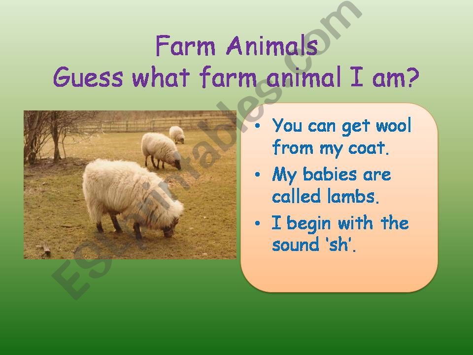 Farm Animal powerpoint