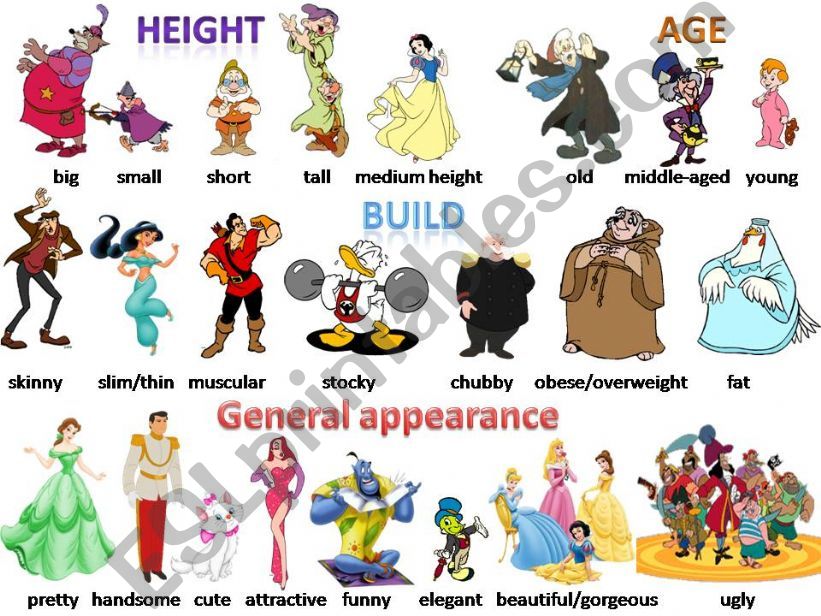 Physical description - Disney characters pictionary 1