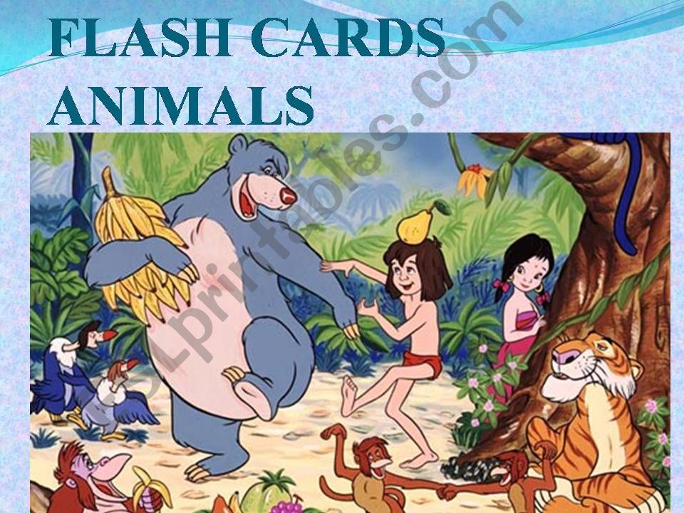 animals flashcard powerpoint