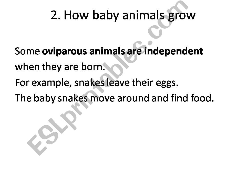 Animals powerpoint