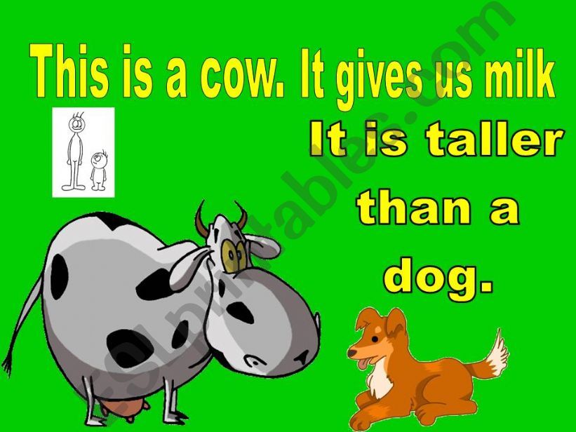comparatives - animals part 3 powerpoint