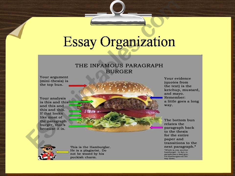 Essay Organization powerpoint