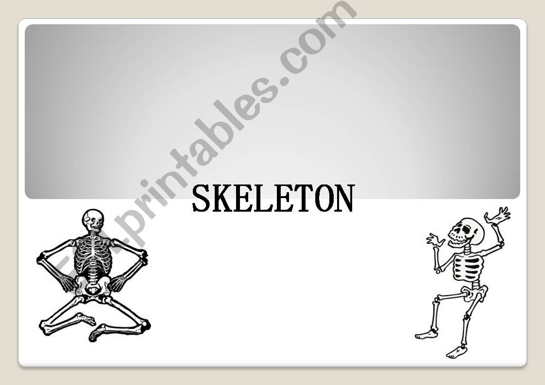 Human Body- skeleton powerpoint