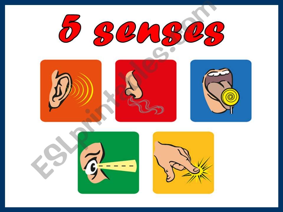5 senses activites powerpoint