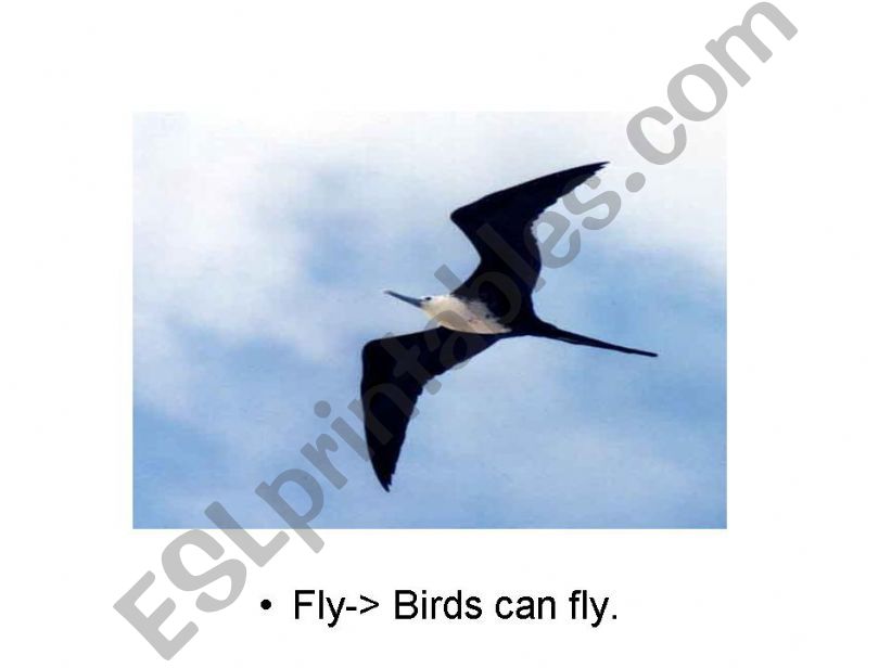 how can animals move? powerpoint