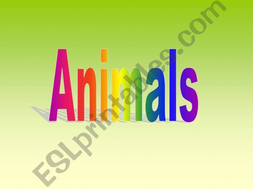 Quiz on animals powerpoint