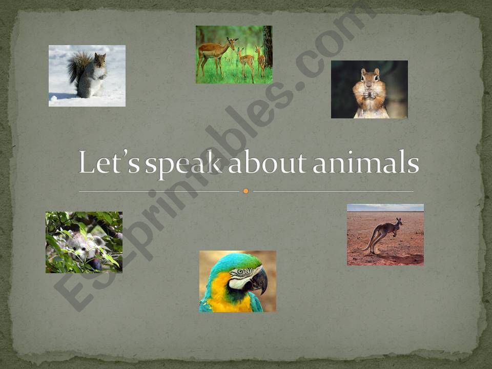 Speak about animals powerpoint