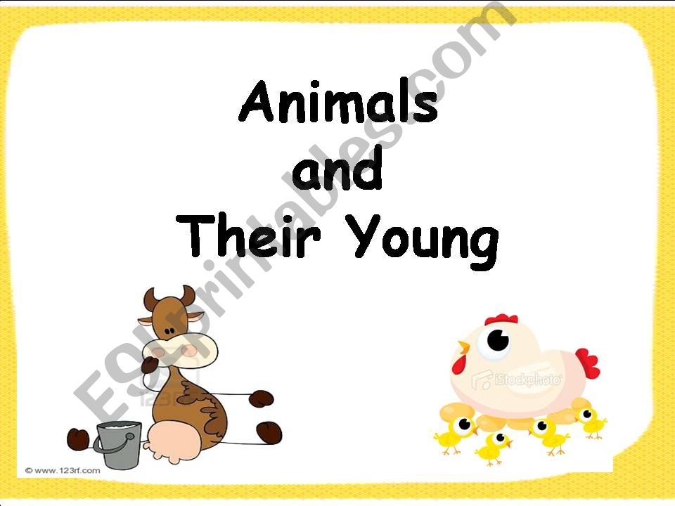 Animals and Their Youngs powerpoint