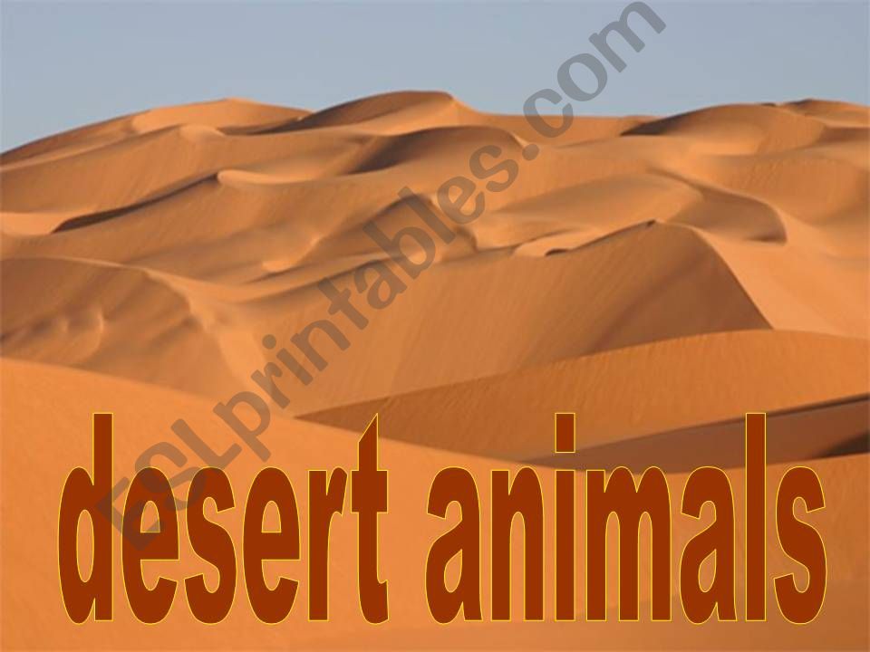 desert animals powerpoint