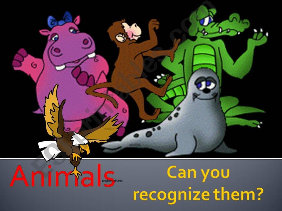wild animals quiz powerpoint