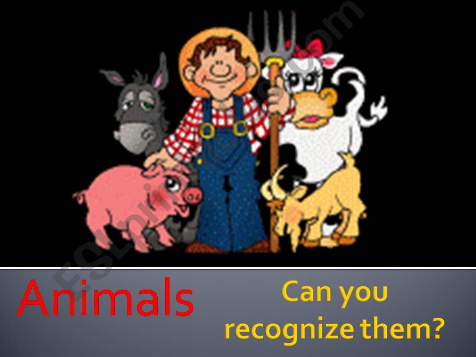 usual animals quiz powerpoint