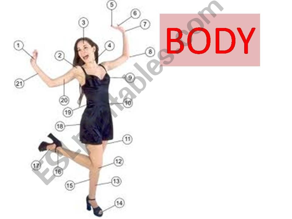 Body parts powerpoint