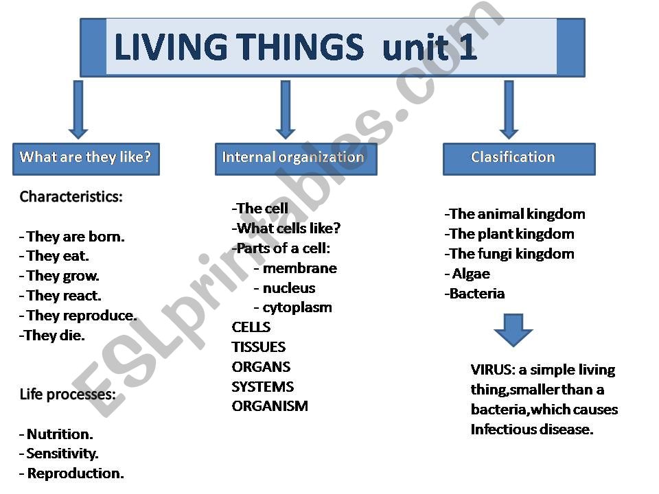 science outlines powerpoint