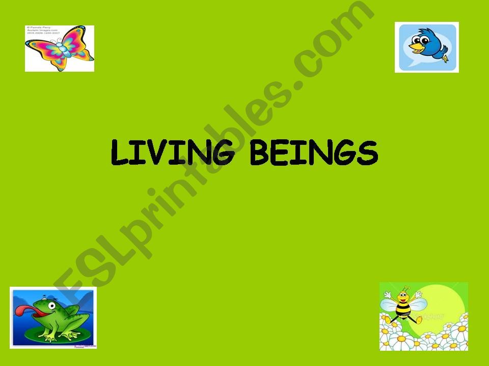 living beings / animals powerpoint