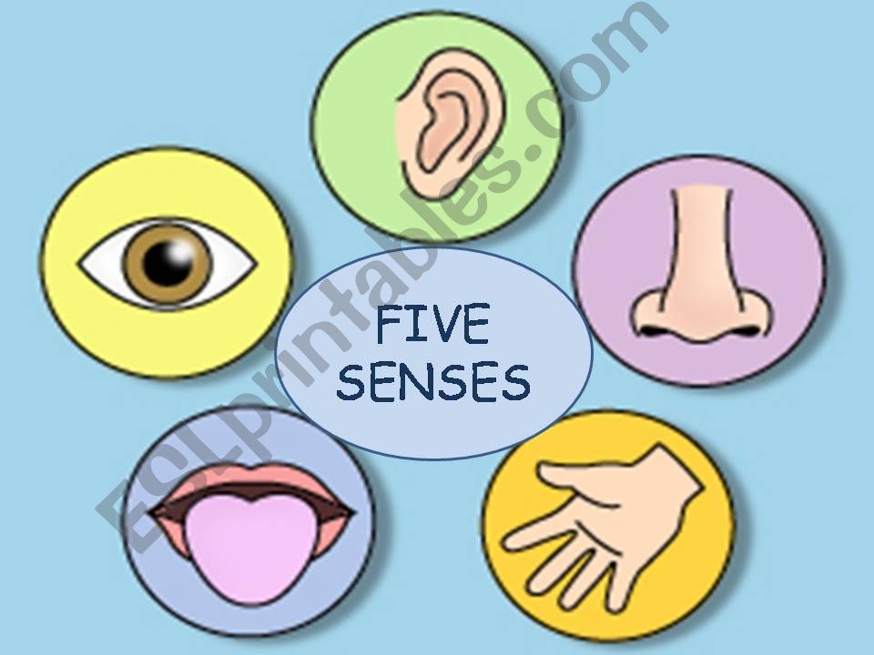 Five Senses powerpoint