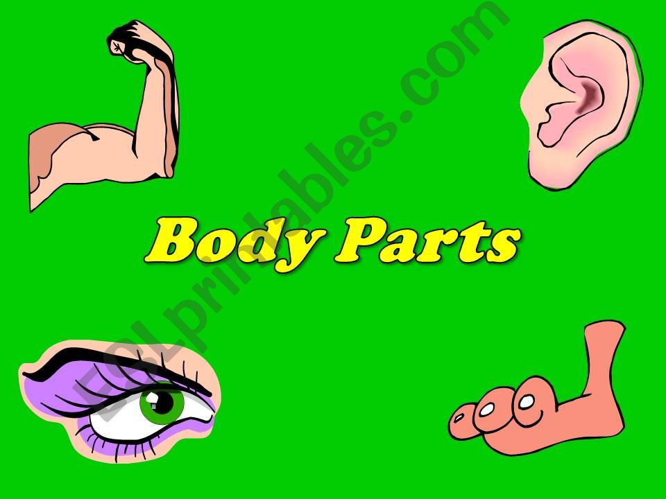 Parts of the body powerpoint