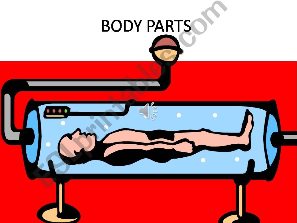 body parts powerpoint