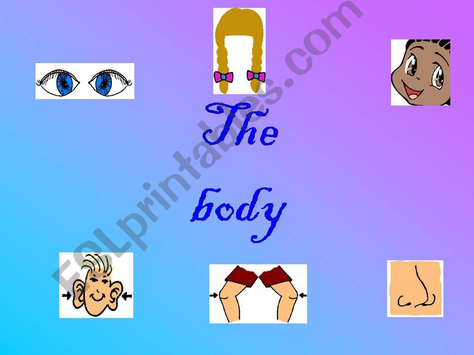 body parts powerpoint