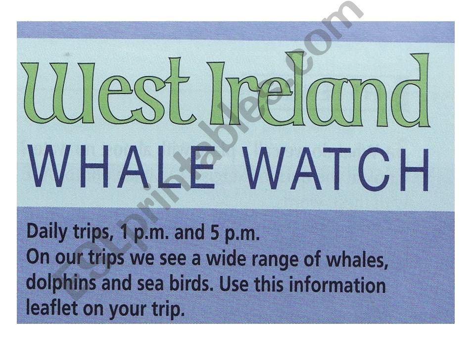 whale watch powerpoint