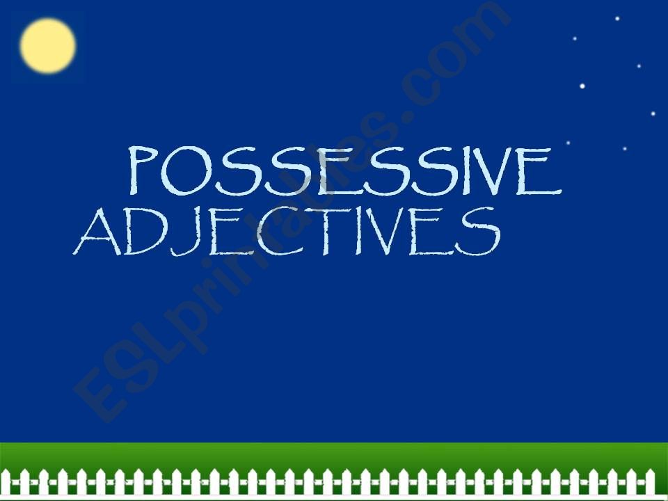 Possessive adjectives powerpoint