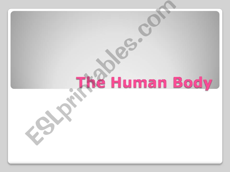 Human body powerpoint