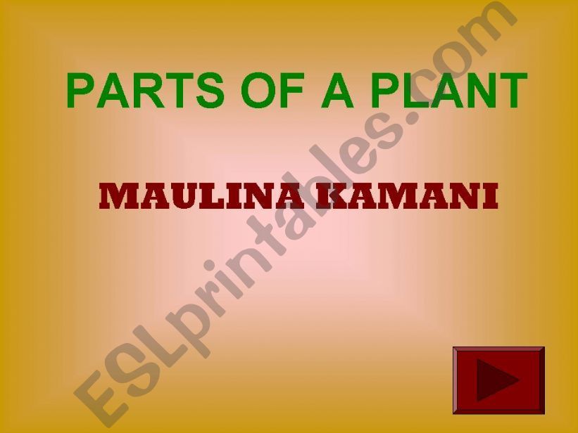 Plants powerpoint