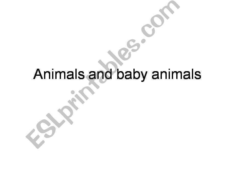 Animals and their babies powerpoint