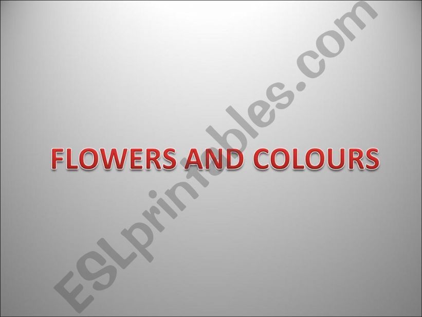 FLOWERS AND COLOURS powerpoint