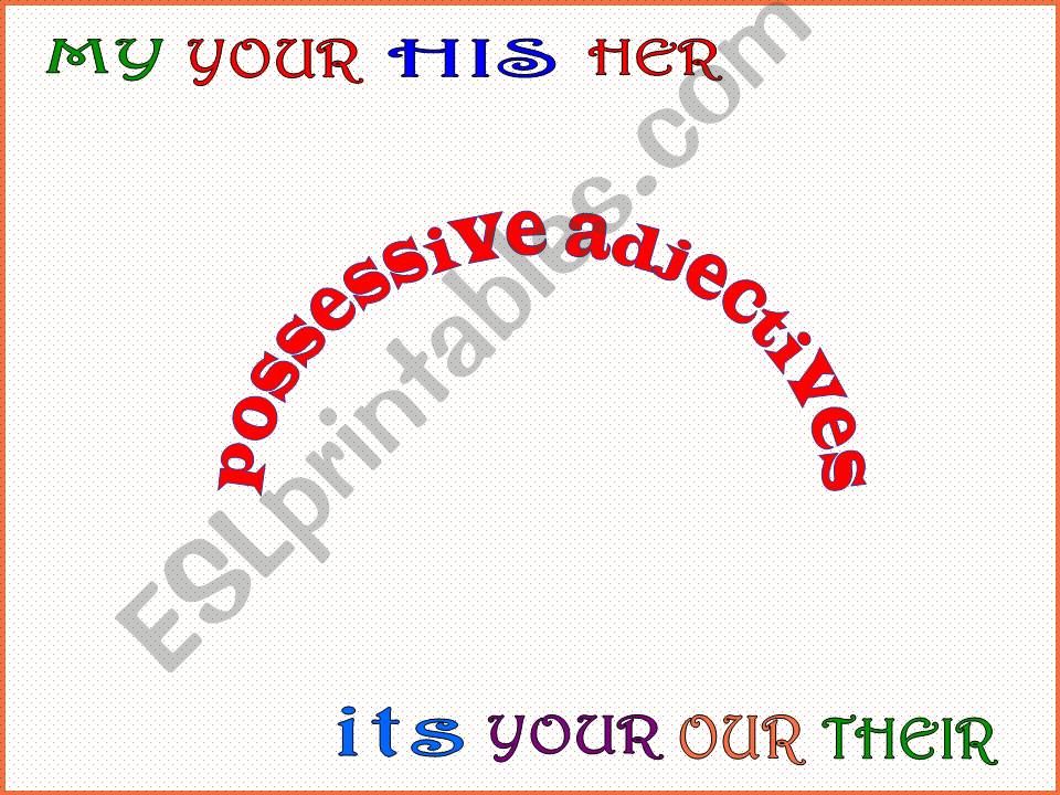 Possessive adjectives powerpoint