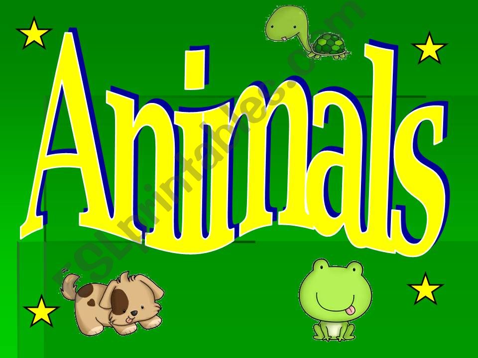 The animals powerpoint