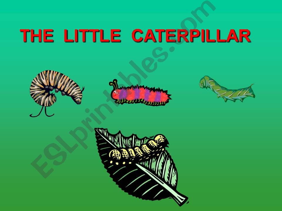 The Little Caterpillar powerpoint