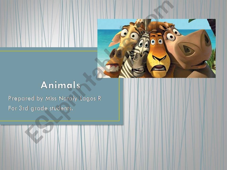Animals and questions powerpoint