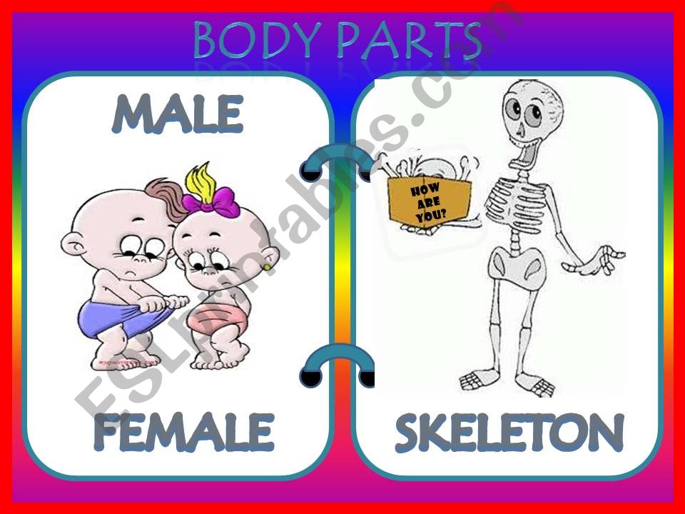 My body (part two) powerpoint