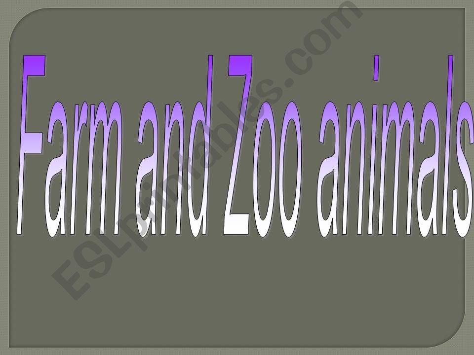 the animal zoo powerpoint